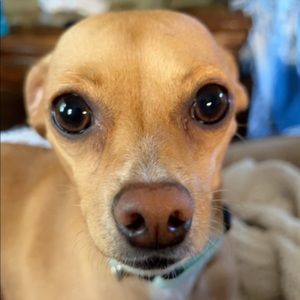 Meet your Posher, Eden